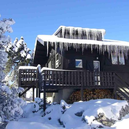 Chalet Des Myrtilles - Chalet Cosy Avec Vue アレット エクステリア 写真