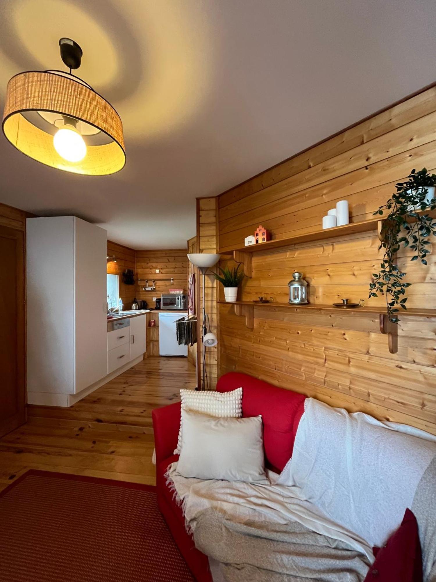 Chalet Des Myrtilles - Chalet Cosy Avec Vue アレット エクステリア 写真
